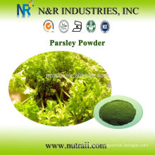 Pure Parsley powder 60-80mesh, 100mesh, 200mesh